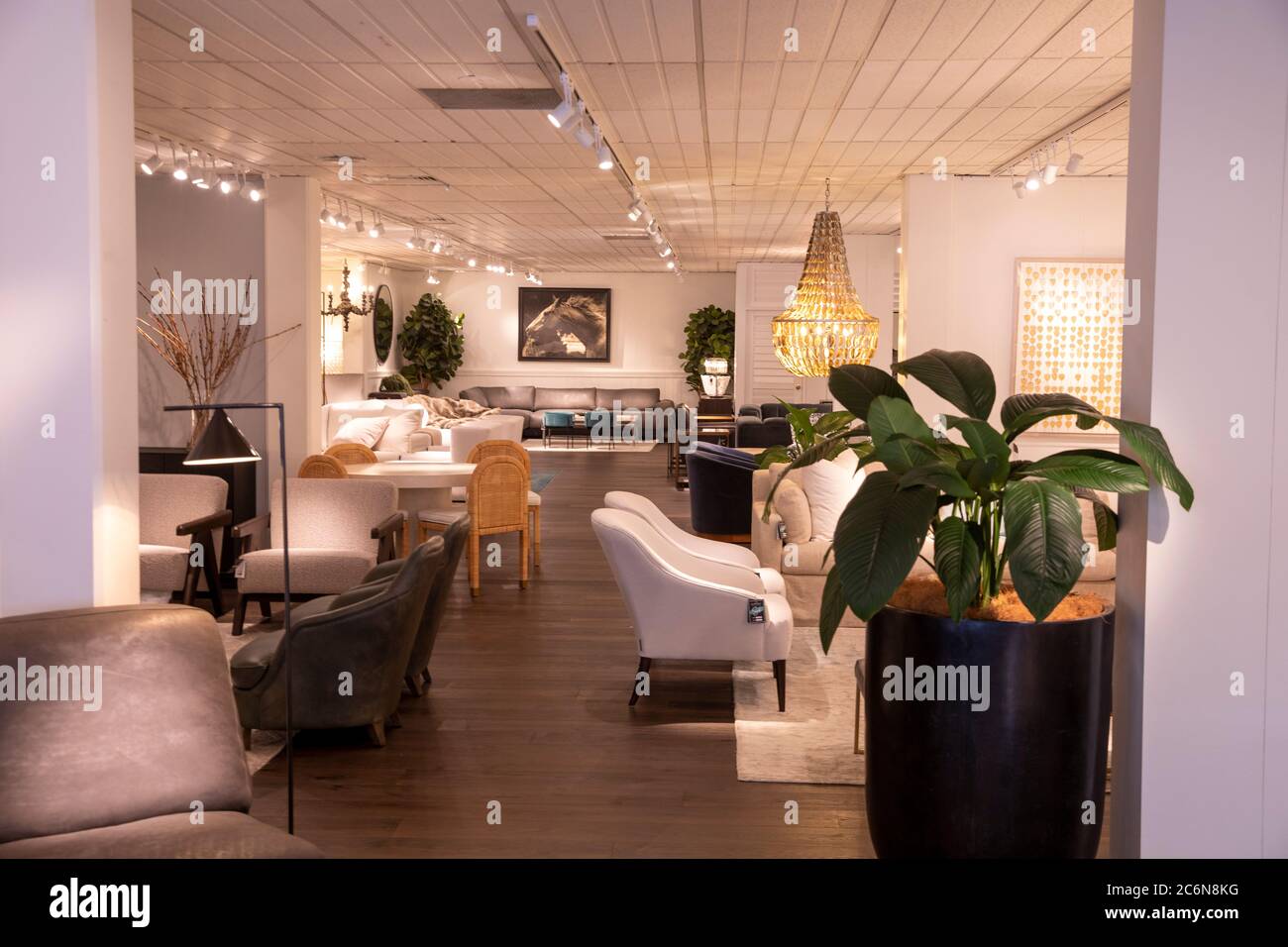 Coco republic furniture store in St Leonards Sydney interior with