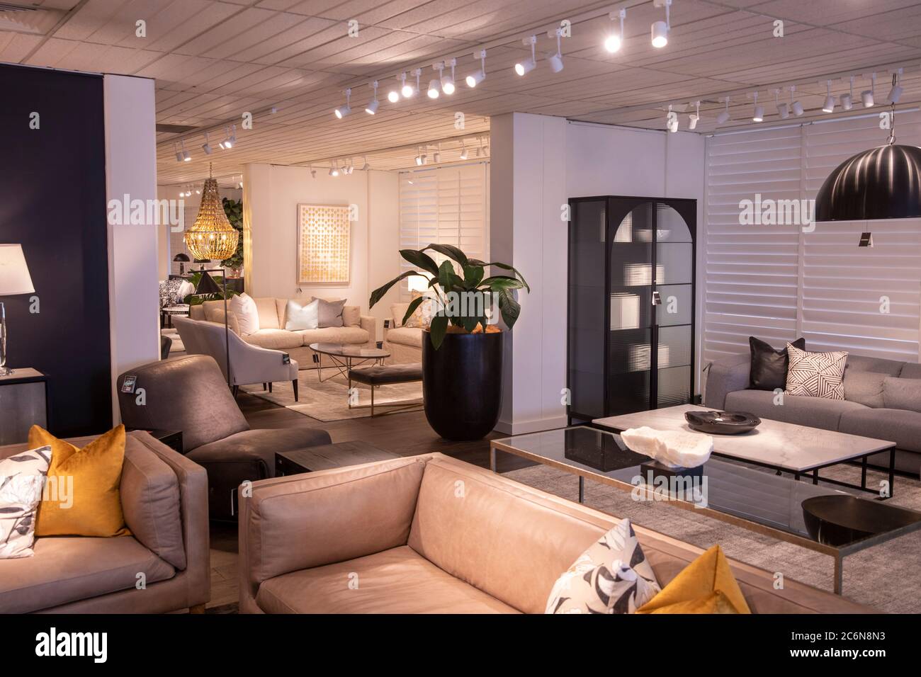 Coco republic furniture store in St Leonards Sydney interior with