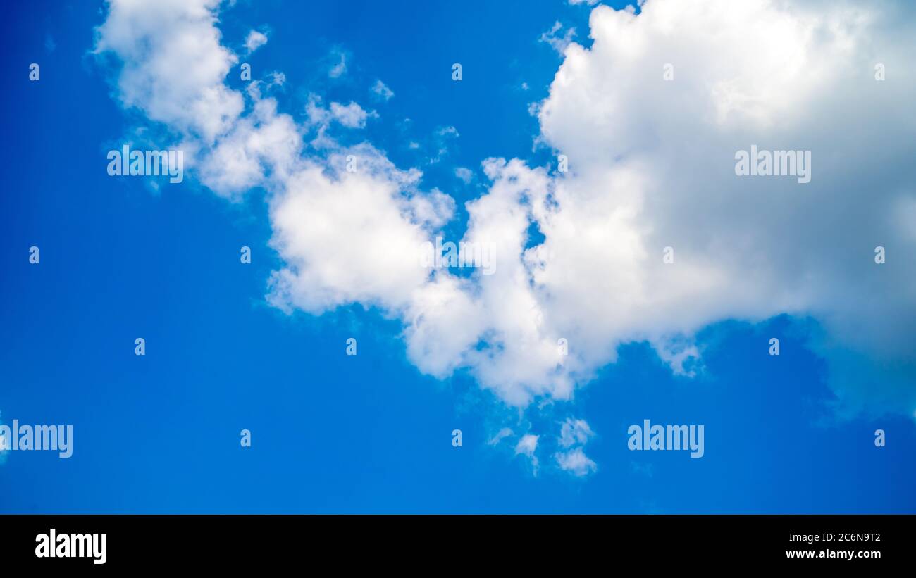 The palm trees on the background a sunny blue sky with the white clouds ...