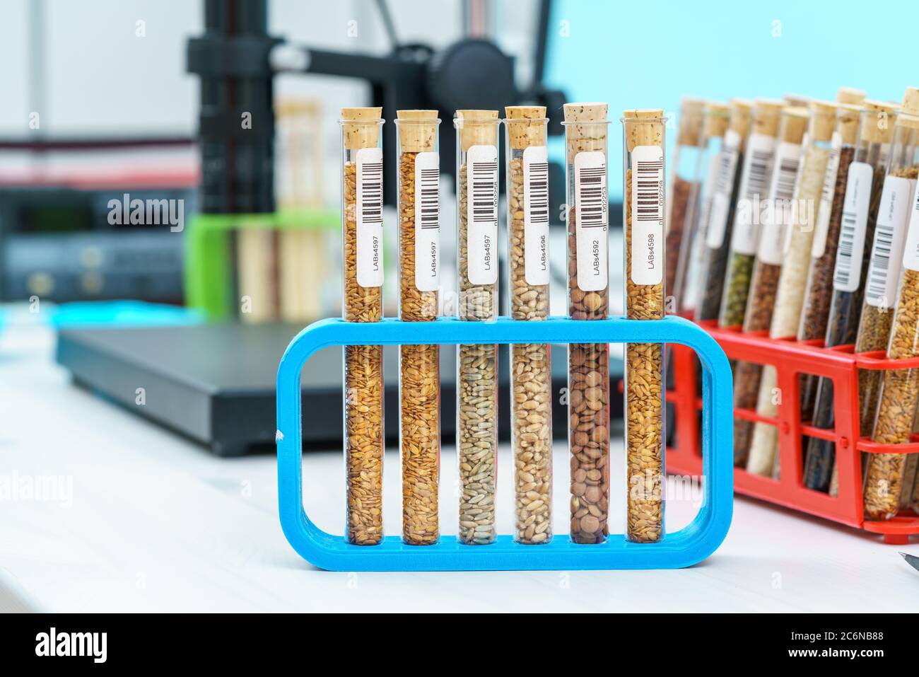 Research Analyzing Agricultural Grains And seeds In The Laboratory