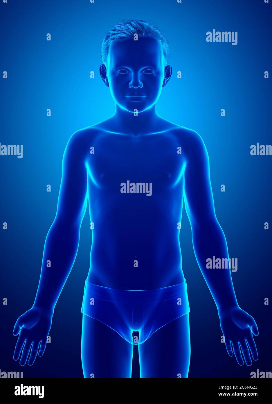 3d rendered illustration of the young boy body Stock Photo - Alamy