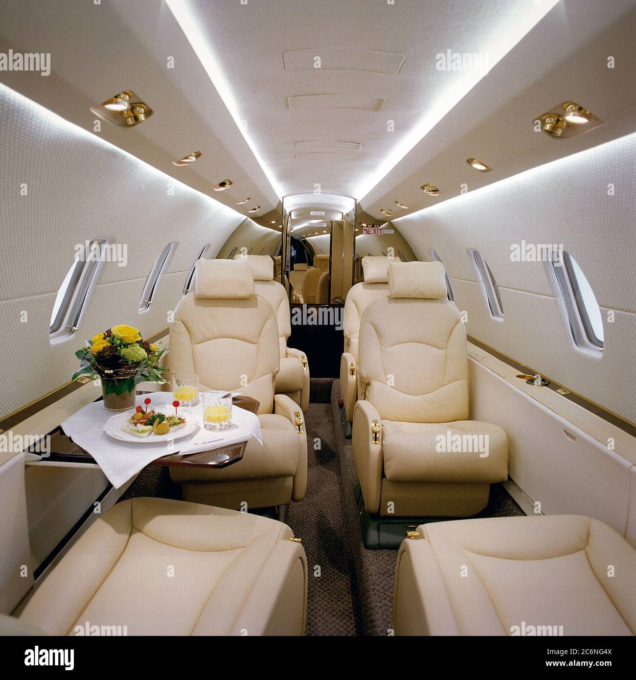 Zürich-airport, private jets; private airplaines, interior design cabine, Jet  Aviation Company; business-people; luxury; jet-set; Jet Aviation, Privat  Stock Photo - Alamy