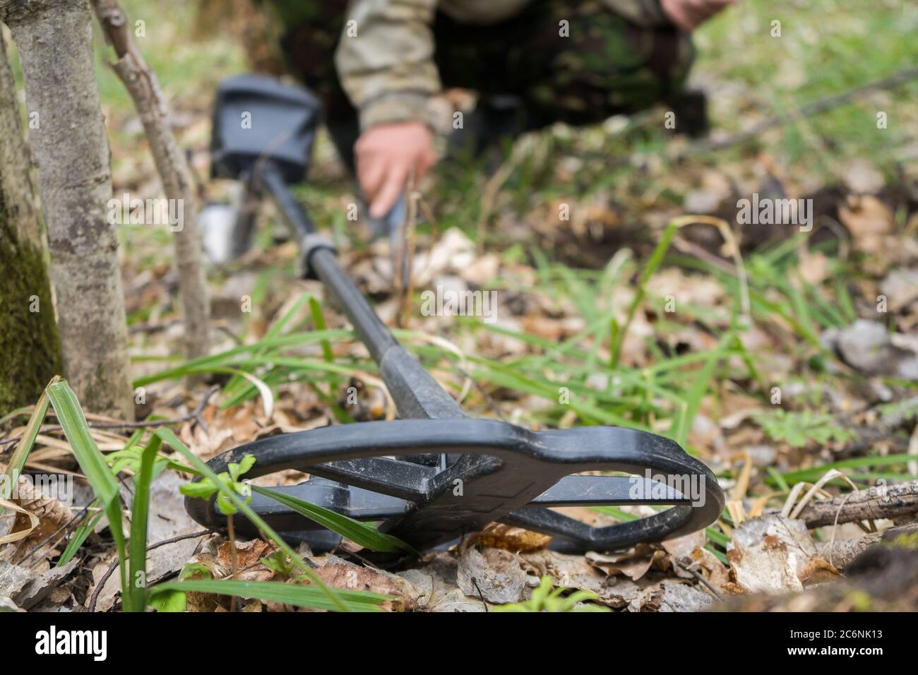 metal detector in the forest and man archaeologist digging historical ...