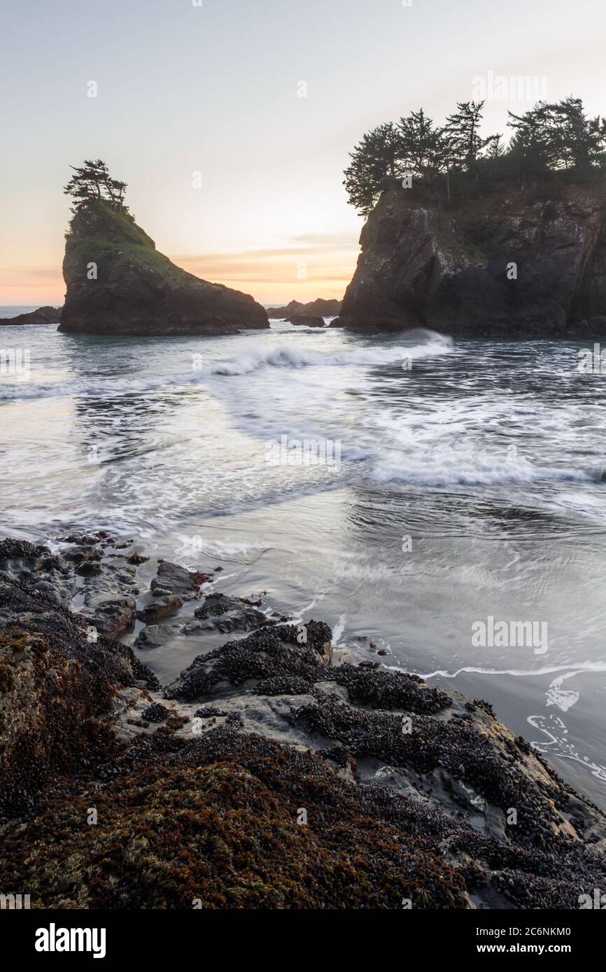 The sun sets on Secret Beach in the southern Oregon coast at sunset with its many Islets topped with evergreen trees and blurred waves moving in as th Stock Photo