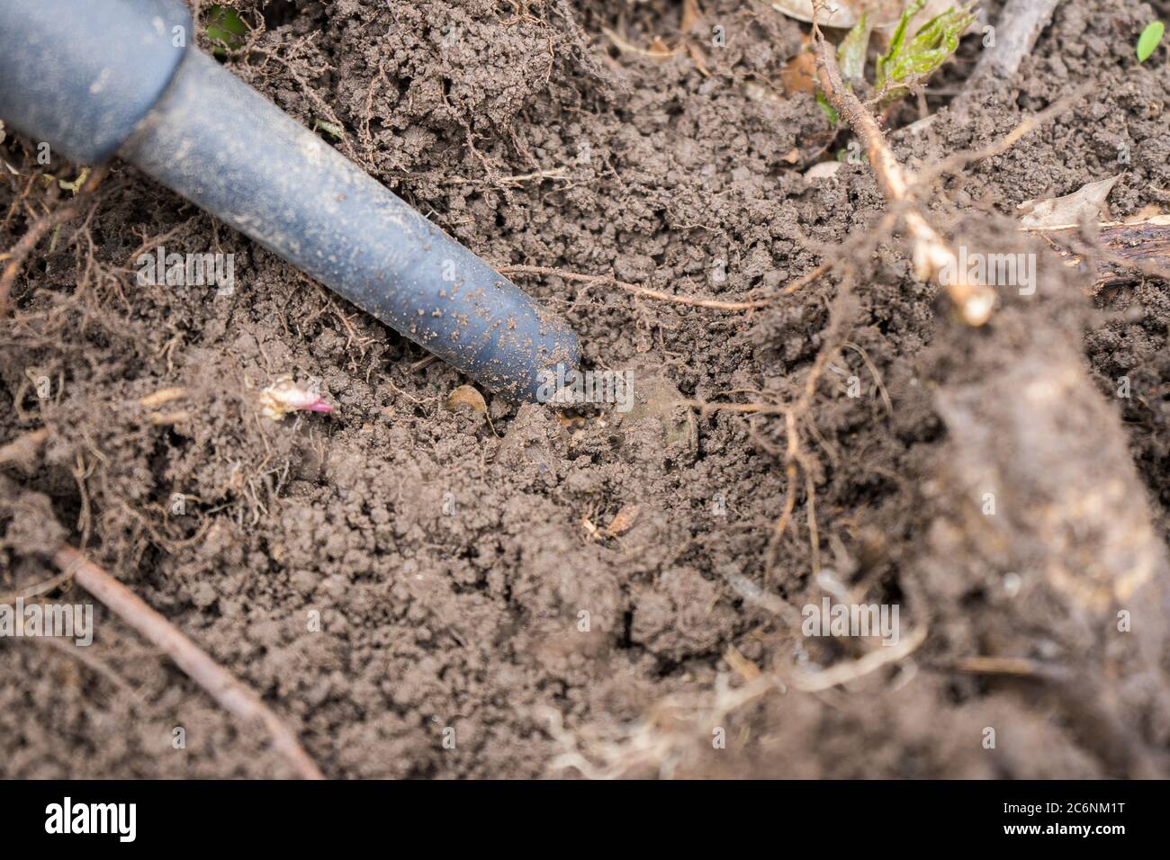 pinpointer metal detector in the ground and an ancient coin.  Stock Photo