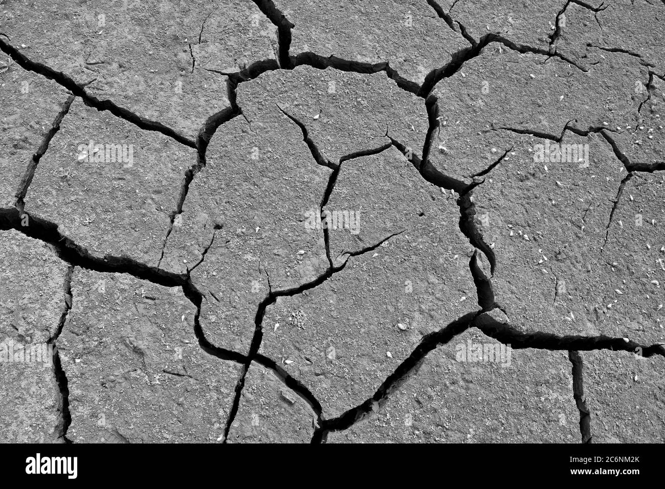 Soil textures, Drought, earth cracks, natural disasters. Stock Photo