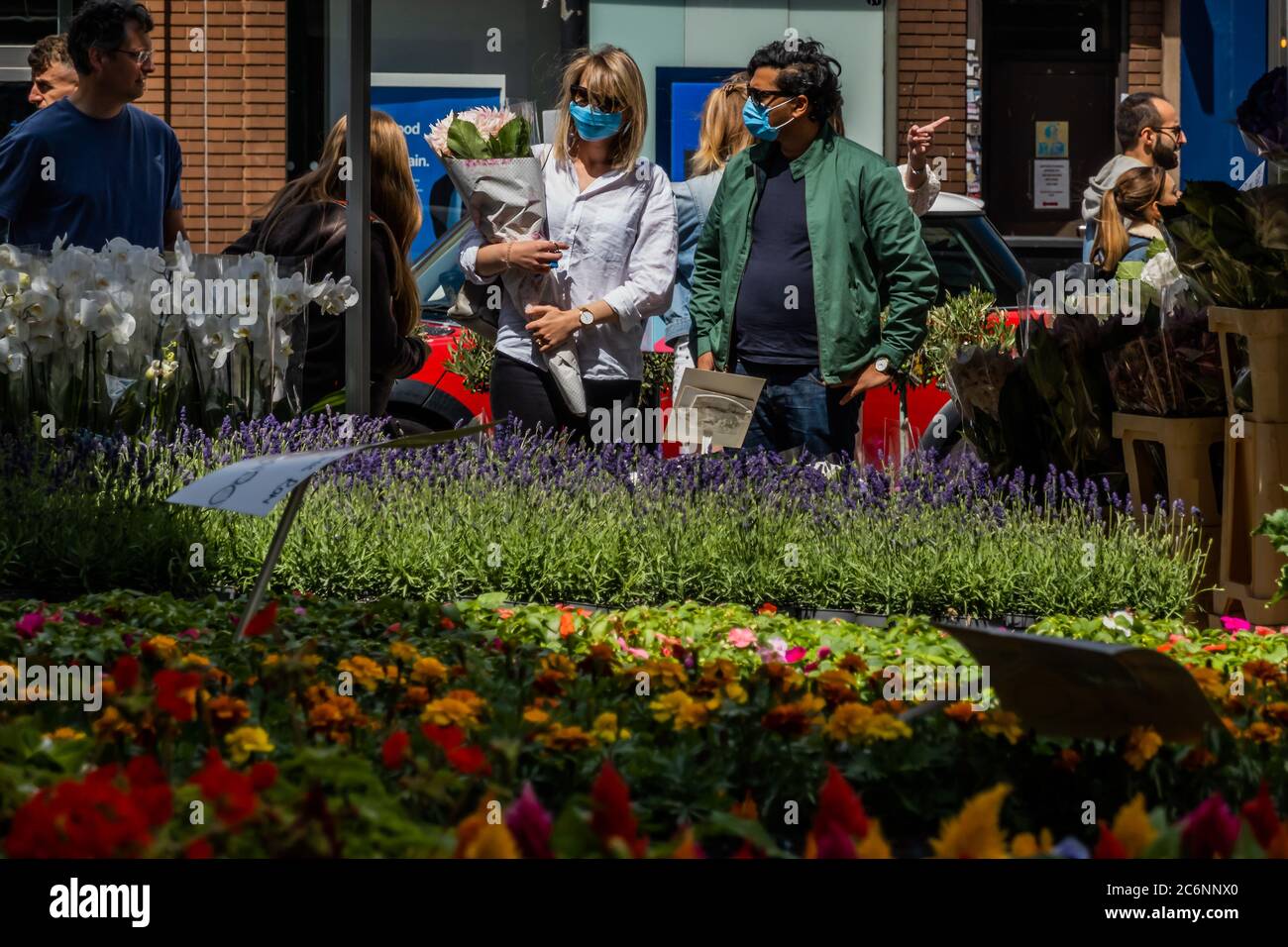 London, UK. 11th July, 2020. The market stall selling plants and