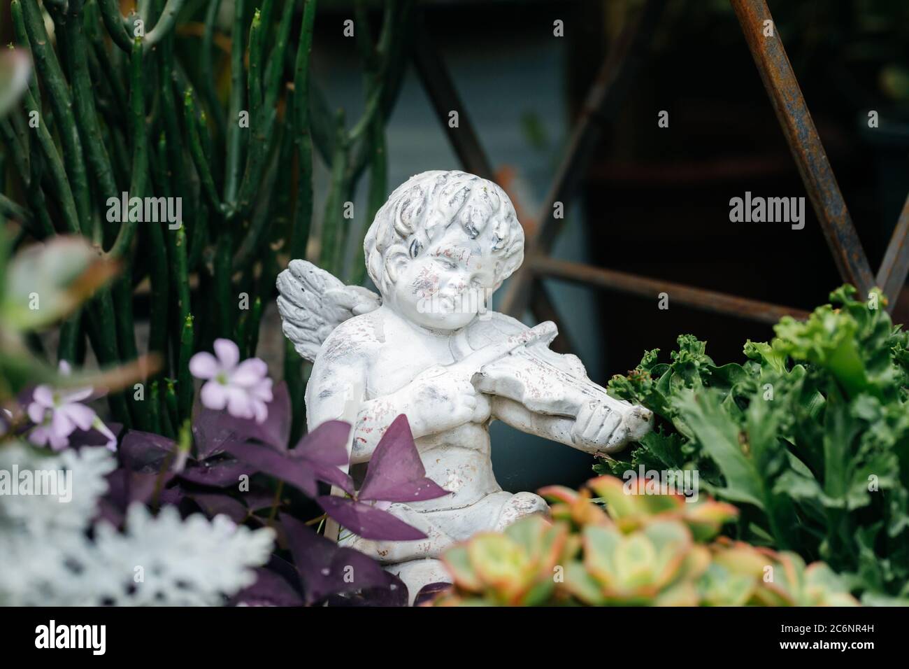 Little angel playing the violin among the flowers Stock Photo