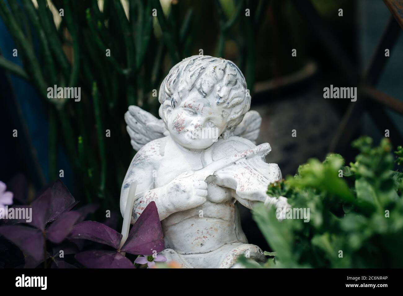 Little angel playing the violin among the flowers Stock Photo