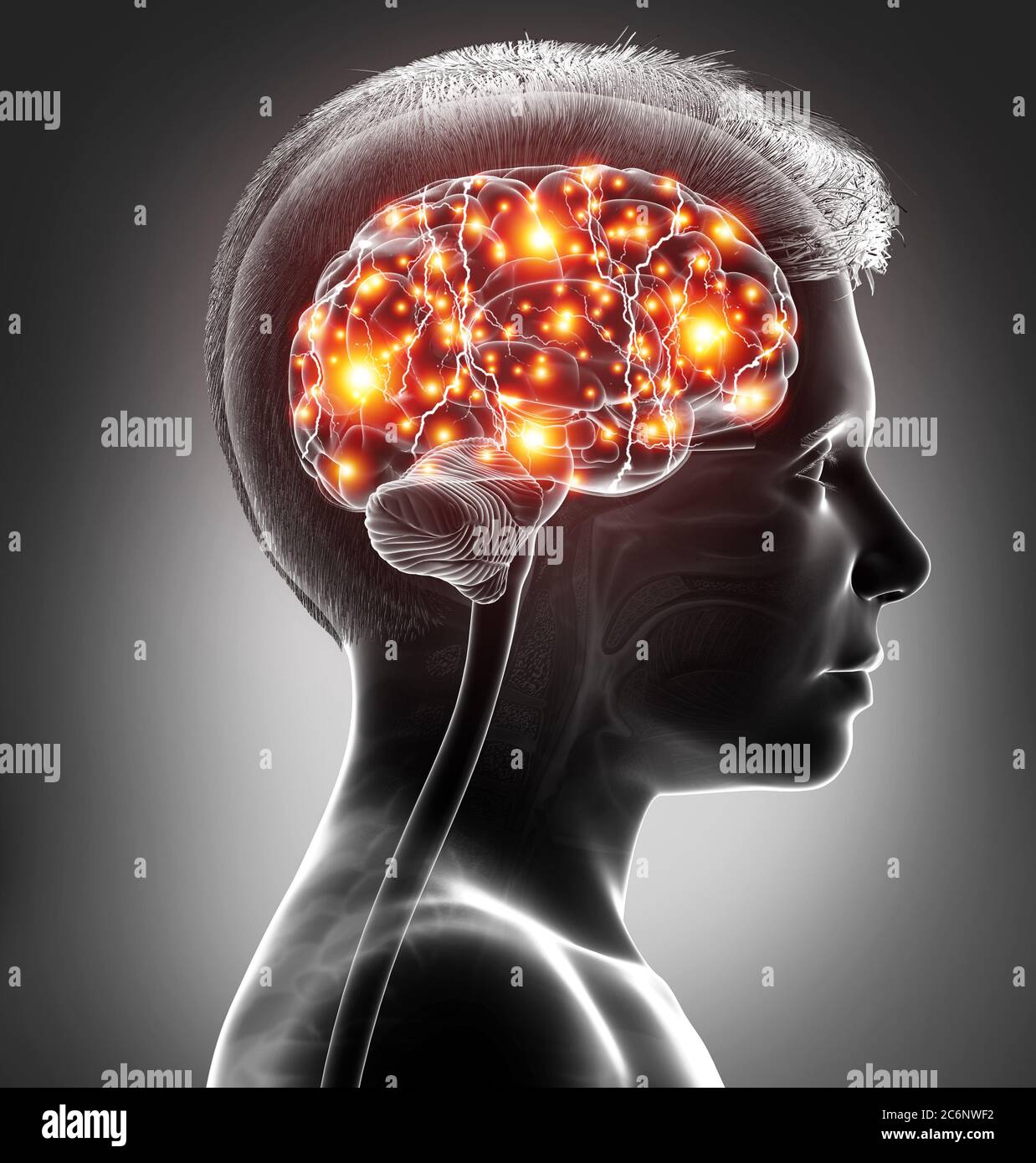 Brain the action