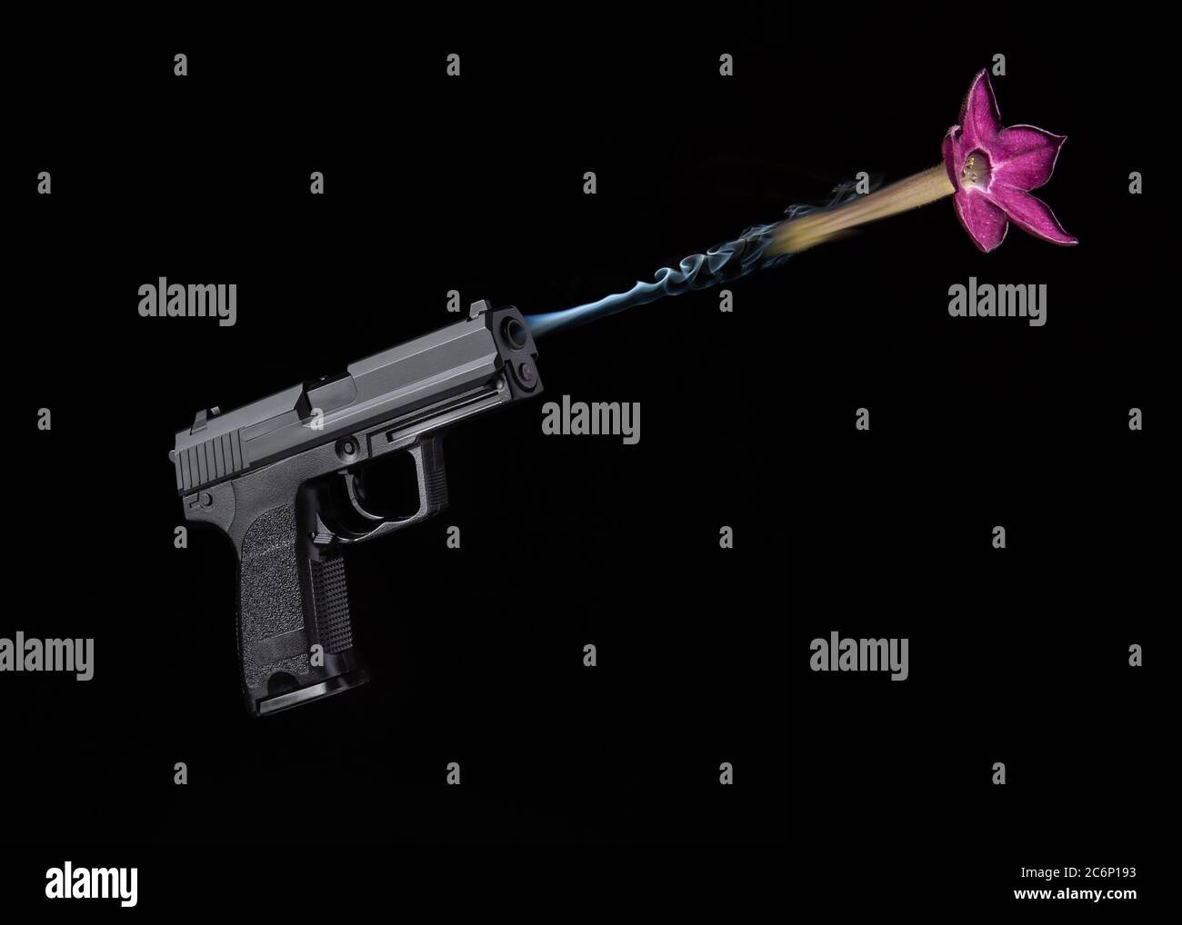 Shooting with flowers, stop violence metaphor Stock Photo