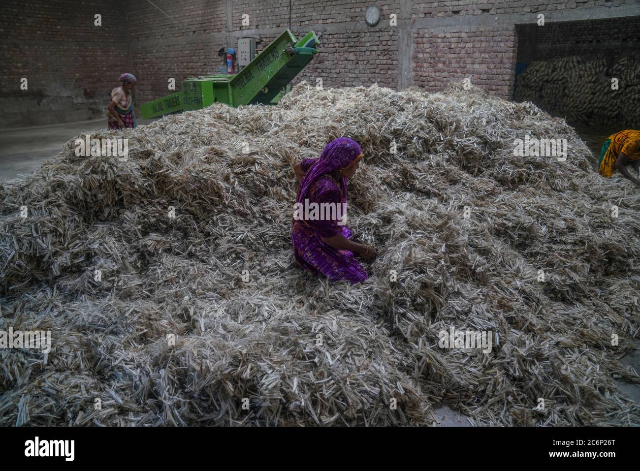 Golden fiber of bangladesh hi-res stock photography and images - Alamy