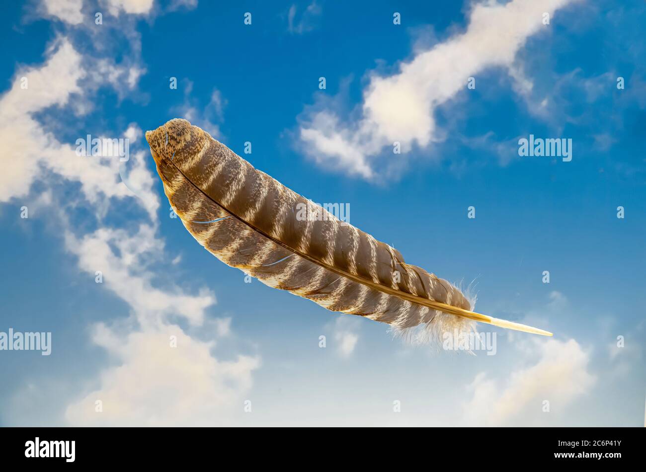 Single feather floating in air with blue sky and white clouds in background Stock Photo