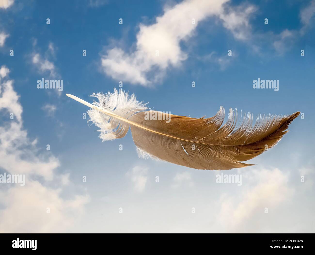 Single feather floating in air with blue sky and white clouds in background Stock Photo