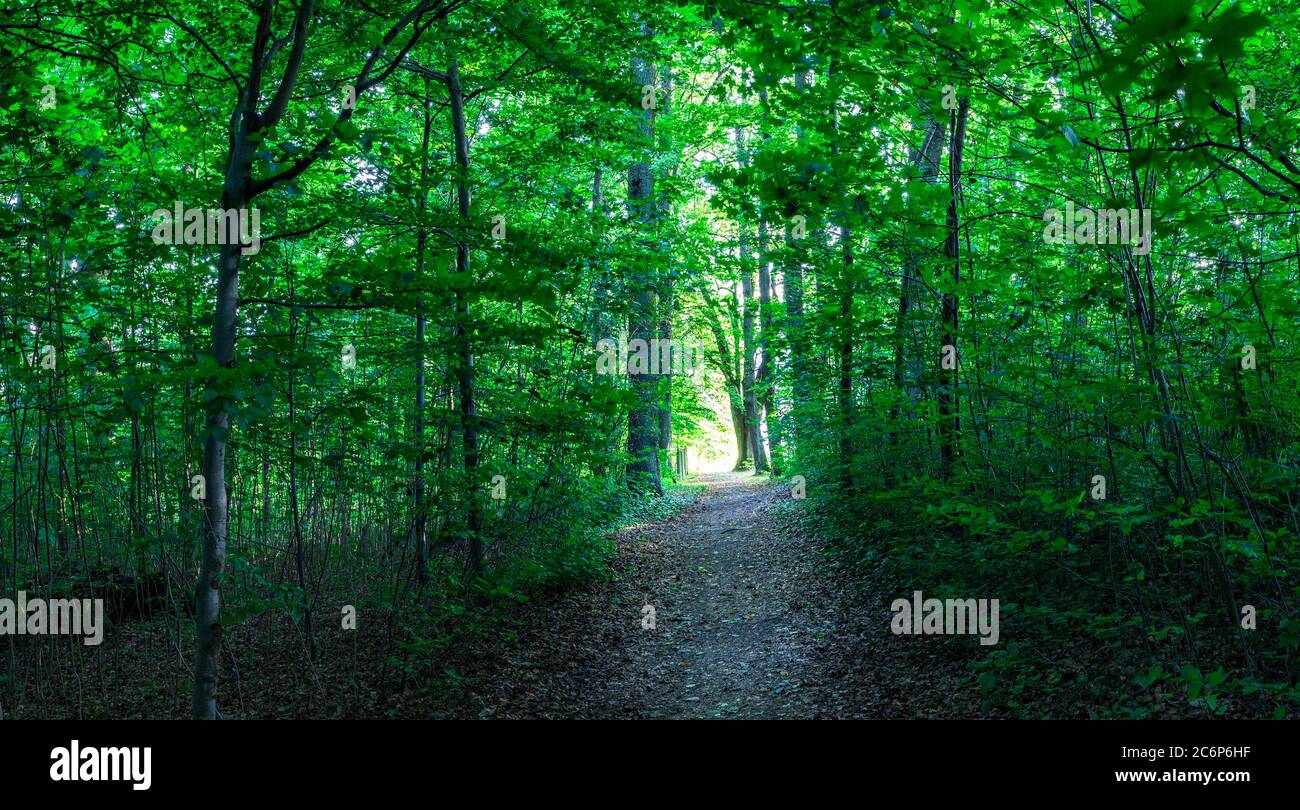 Path with light at the end hi-res stock photography and images - Alamy