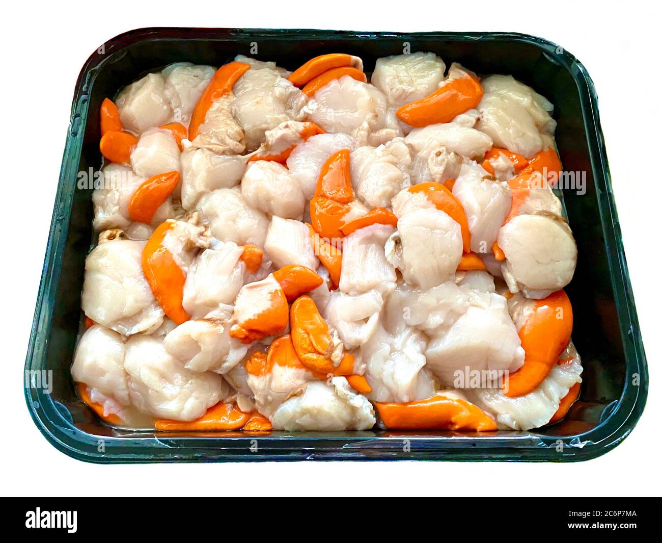 Tray of freshly shucked King Scallops from the clean waters around the Isle of Man, a delicious deluxe ingredient for a meal Stock Photo