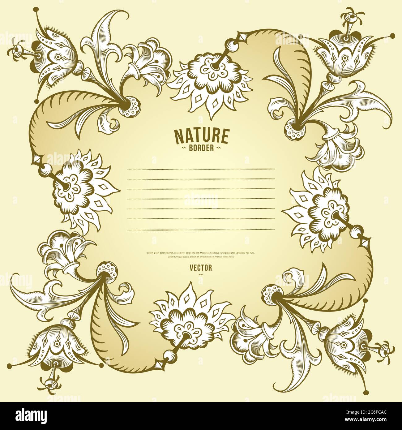 Floral hand drawn vector border Stock Vector Image & Art - Alamy