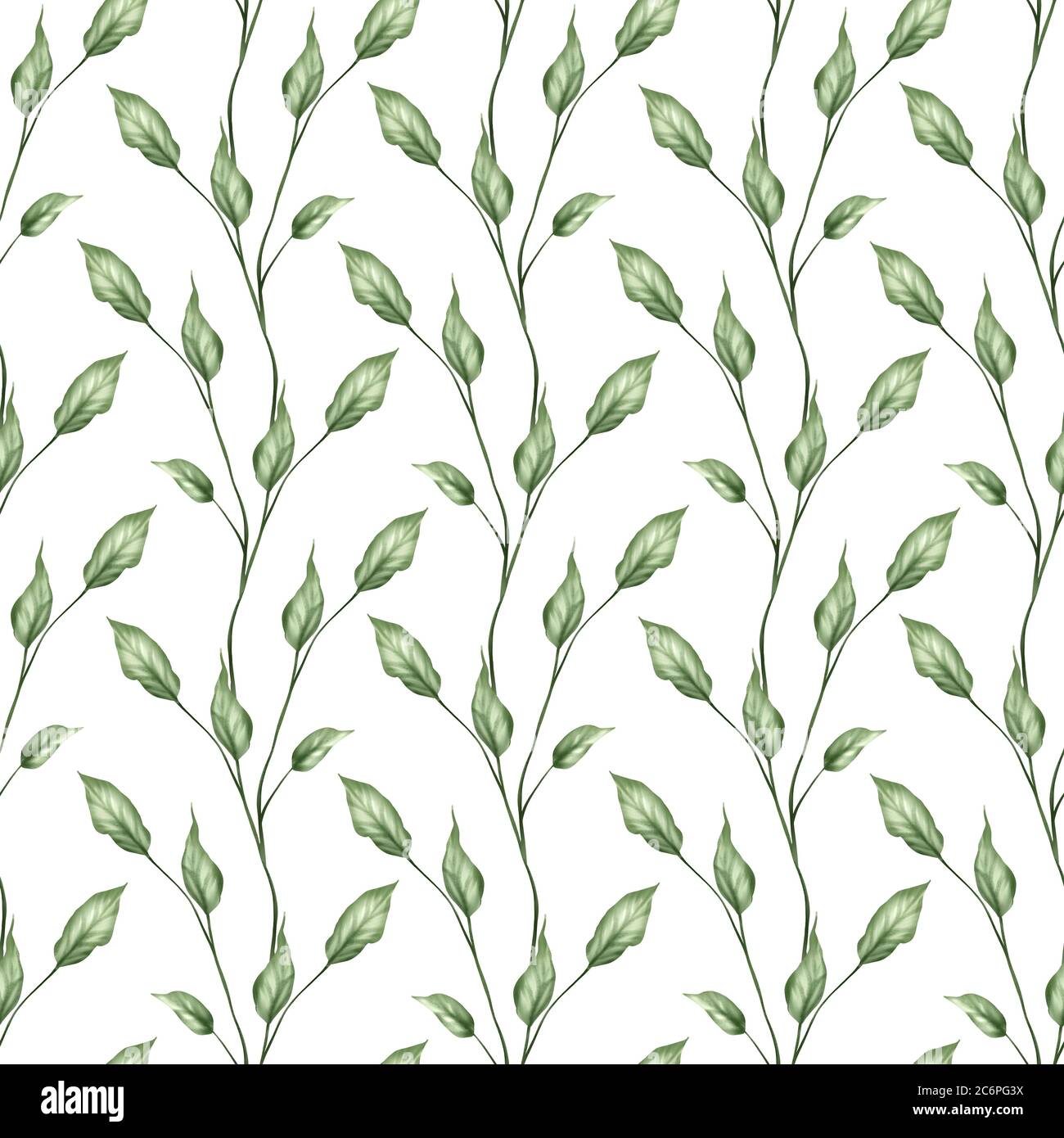 Seamless leaves pattern. Background with green branches on white Stock ...