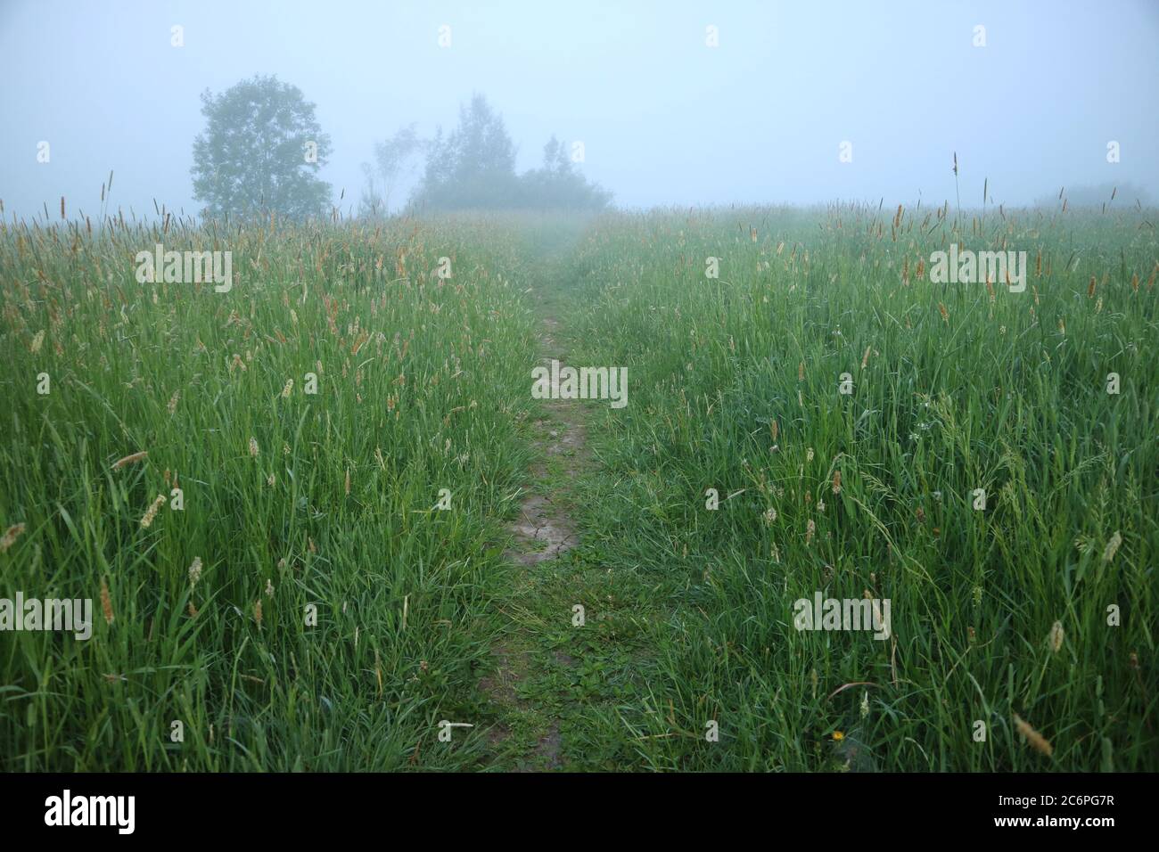 Field path morning fog sunrise hi-res stock photography and images - Alamy