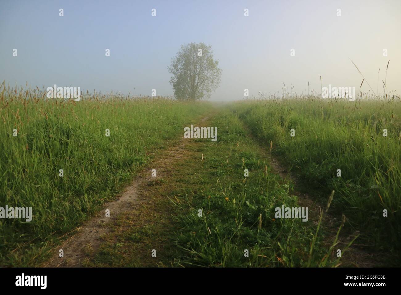 A foggy morning Stock Photo