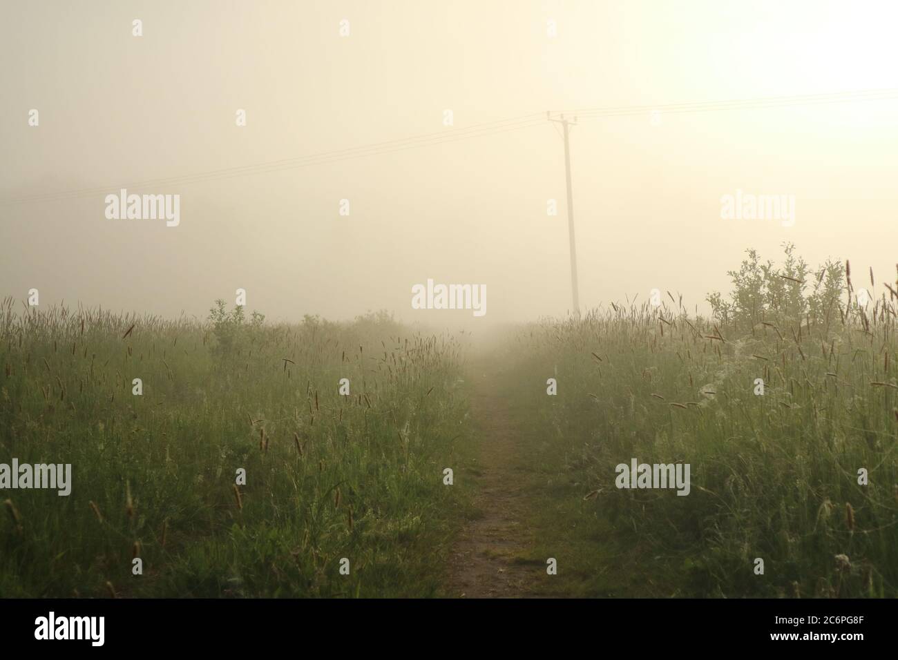 A foggy morning Stock Photo