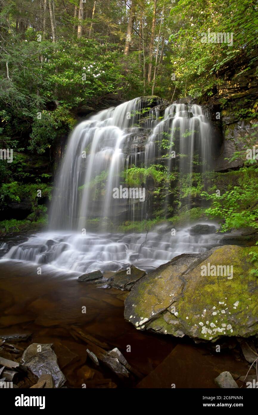 Mullet Falls along Mullet Creek in the Neversink River Unique Area in