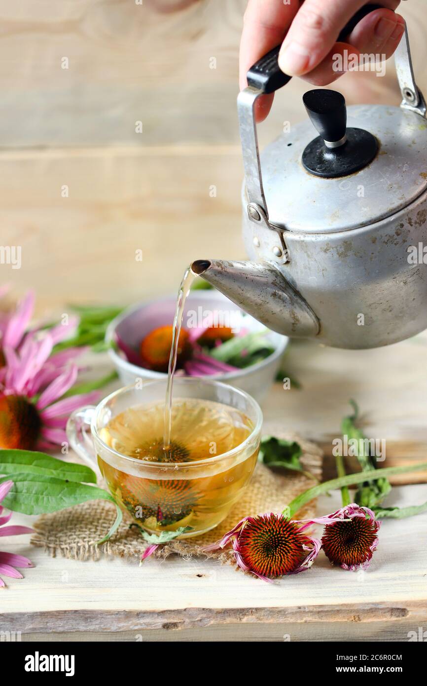 Tea is pouring from the kettle. Echinacea tea. Echinacea flowers Stock