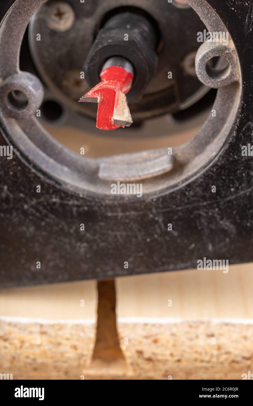 Cutters mounted in the spindle router. Joiner's accessories for small