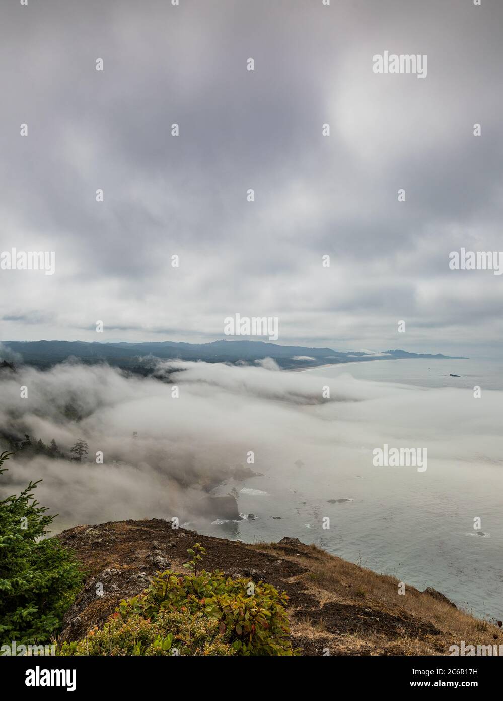 Vertical - View from an overlook of fog coming ashore along the Oregon coast Stock Photo