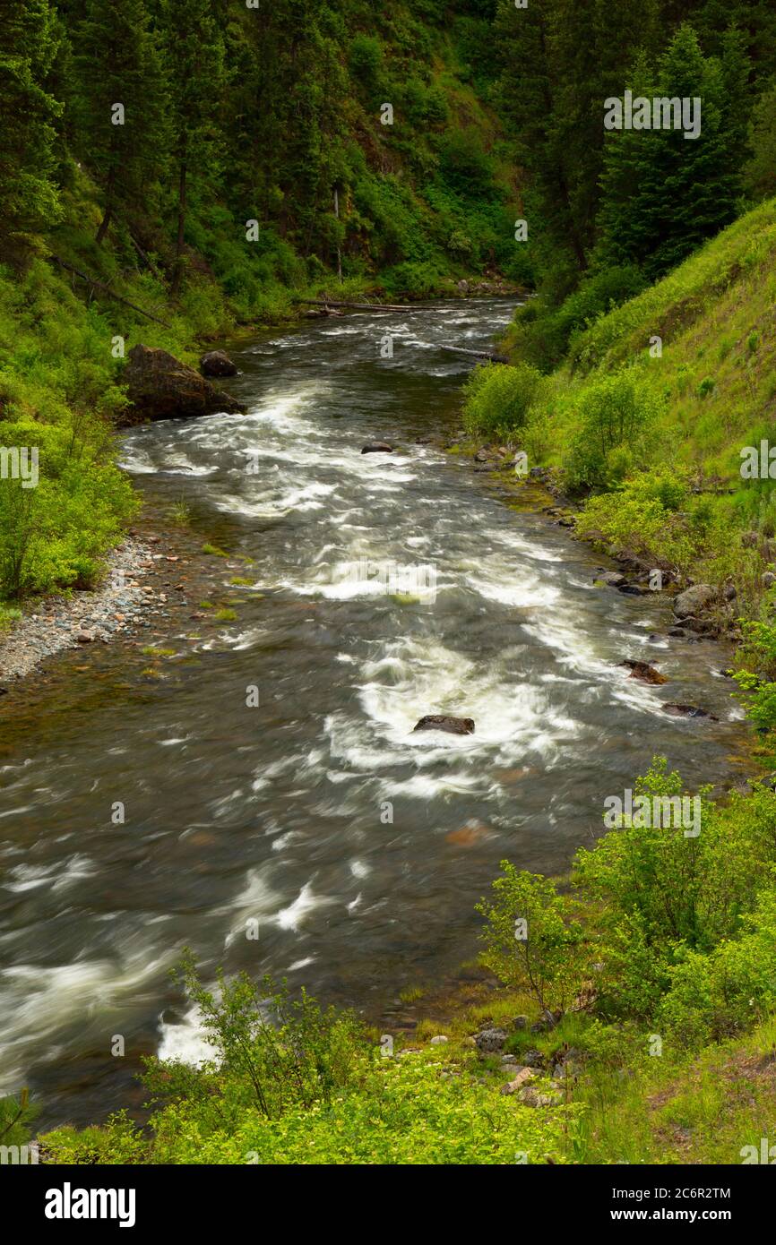 North Fork John Day Wild and Scenic River, Umatilla National Forest