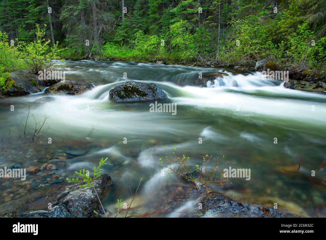 Desolation Creek, Umatilla National Forest, Oregon Stock Photo