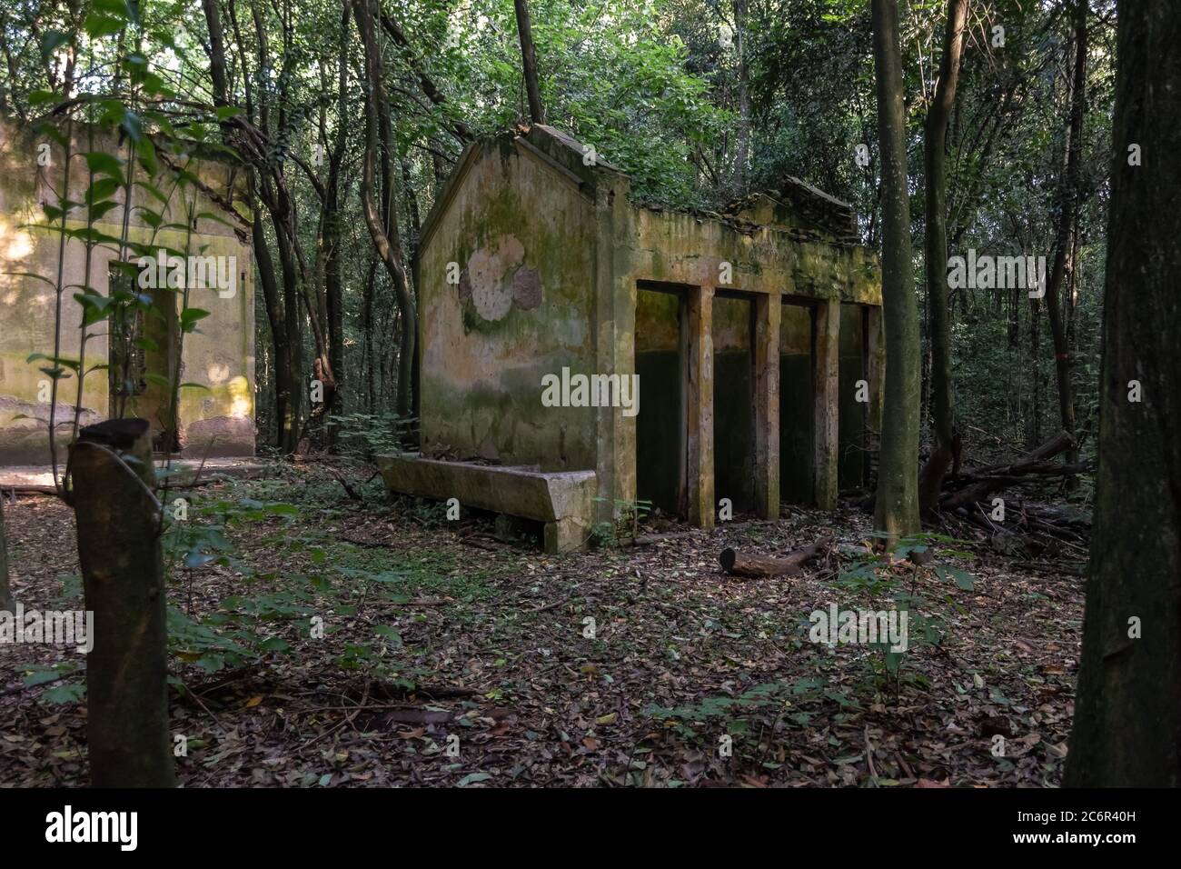 Bosque campo campo verano hi-res stock photography and images - Alamy