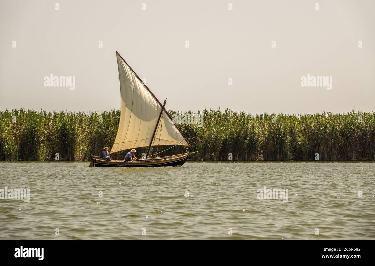 Traditional wooden boats sailing in a regatta. traditional sport, Latin sailing ships in the Albufera in Valencia Spain Stock Photo