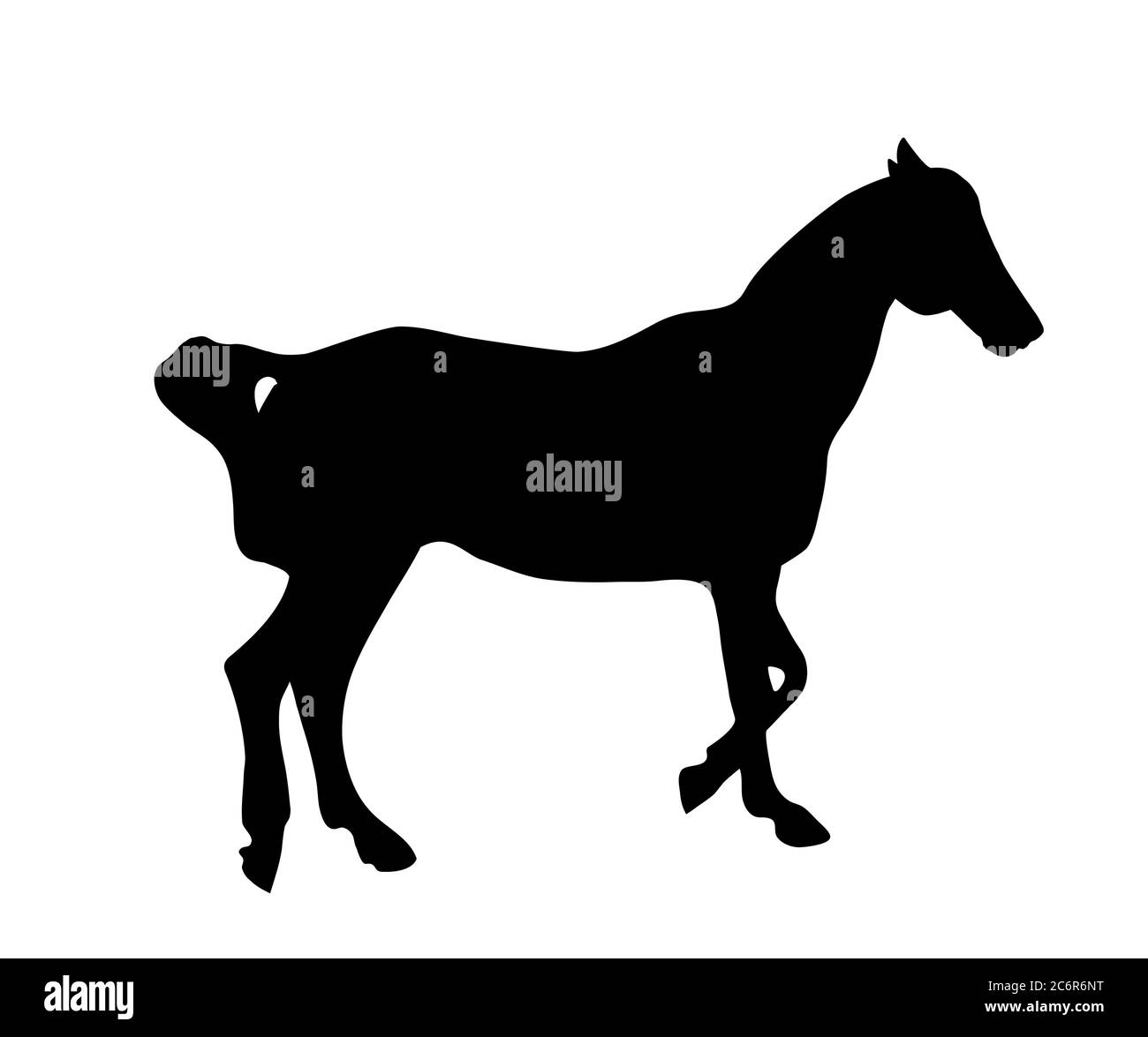 Black silhouette of a horse on a white background. Vector Illustration EPS10 Stock Vector