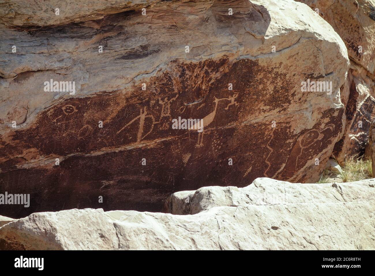 Petroglyphs found in Petrified Forest National Park, Arizona Stock Photo