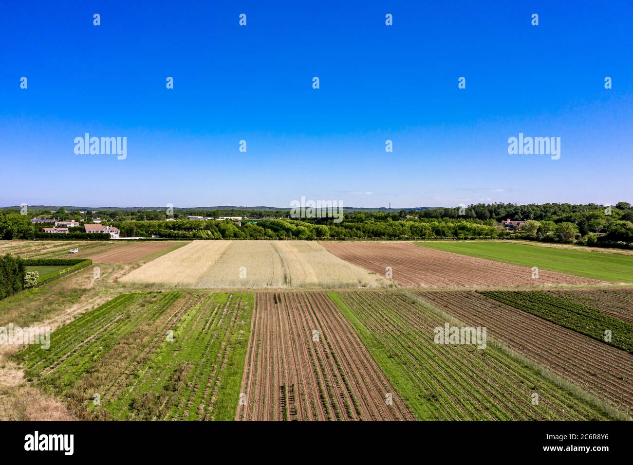 aerial view of fields in Water Mill, NY Stock Photo