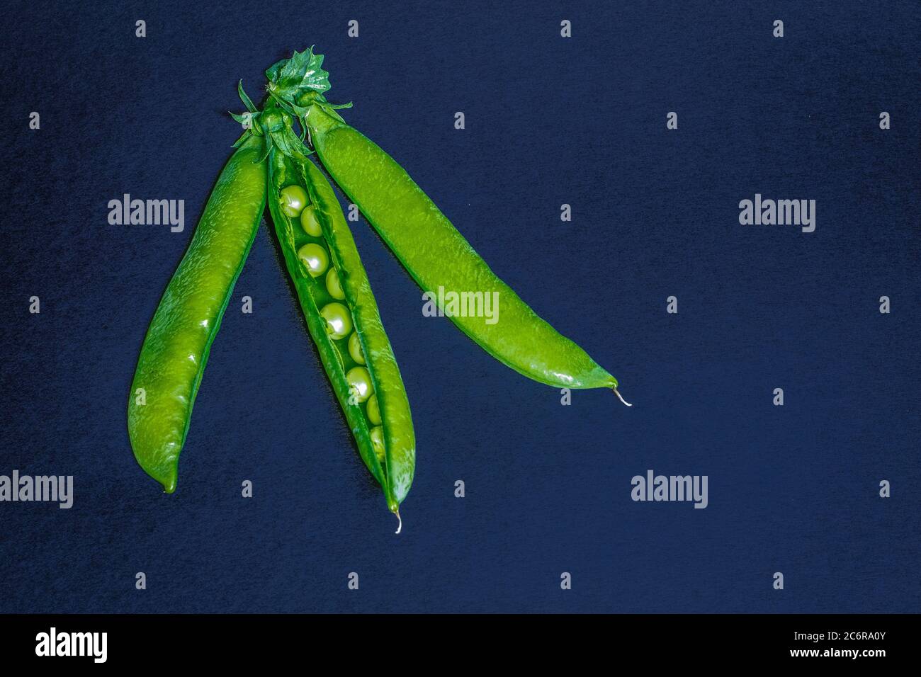 Sweet peas patch hires stock photography and images Alamy