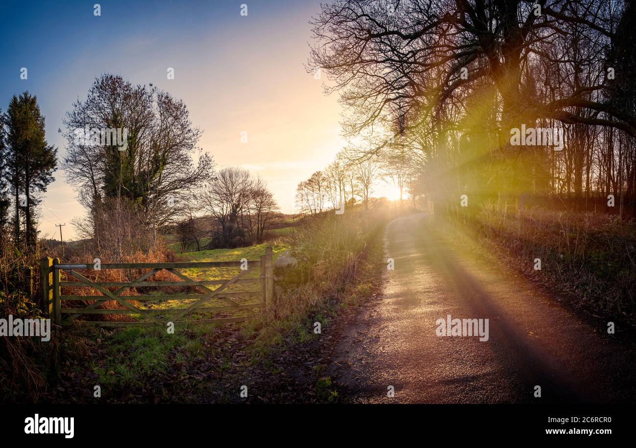 New Years Day 2019 and a walk around the local area whilst the sun was starting to drop below the horizon. Stock Photo