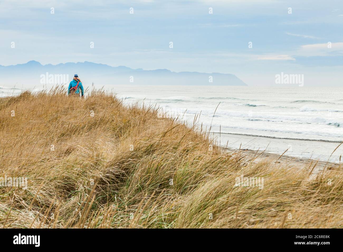 A woman hiking on the grassy sand dunes of Fort Stevens State Park along the Pacific coast, Oregon, USA. Stock Photo