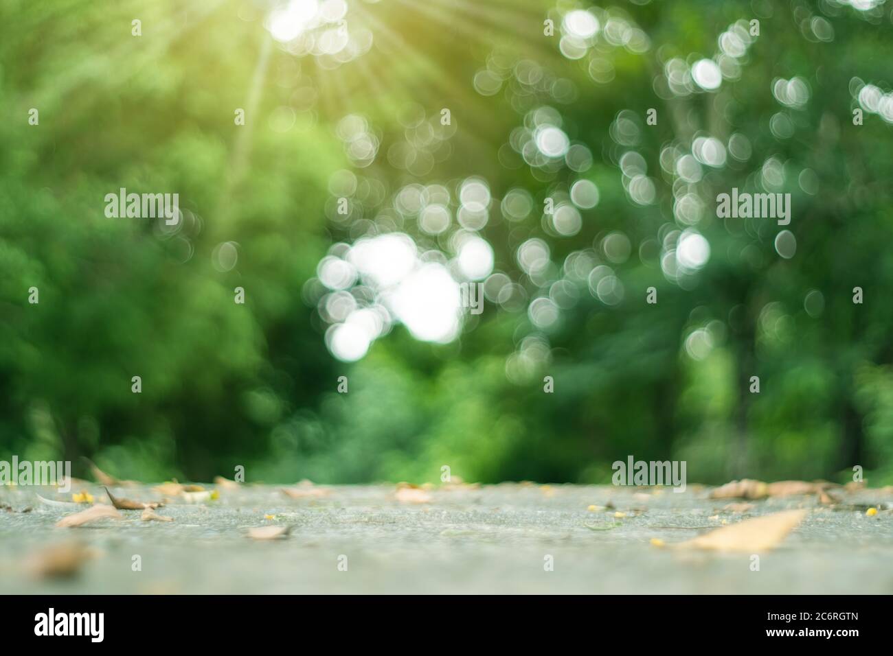 Blur nature bokeh green park many trees in sunset time with flare light ...