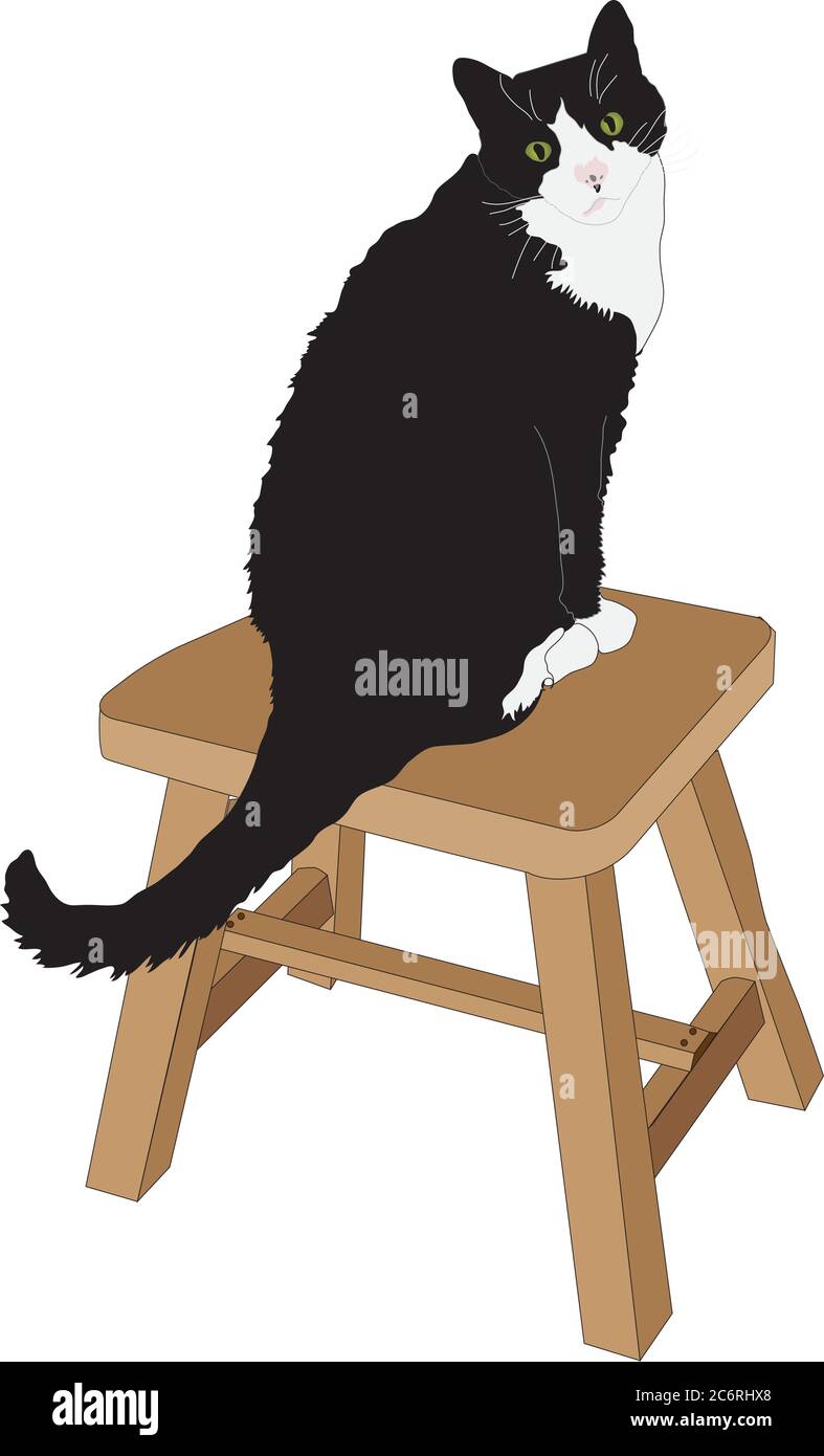 Black and white cat sitting on stool Stock Vector Image & Art Alamy