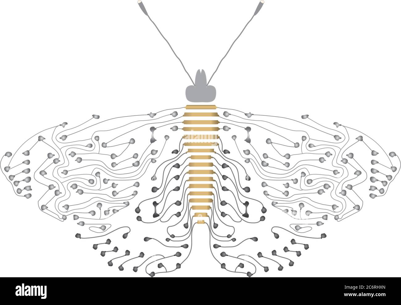 Grey / Silver / Black abstract butterfly / moth circuit image Stock Vector