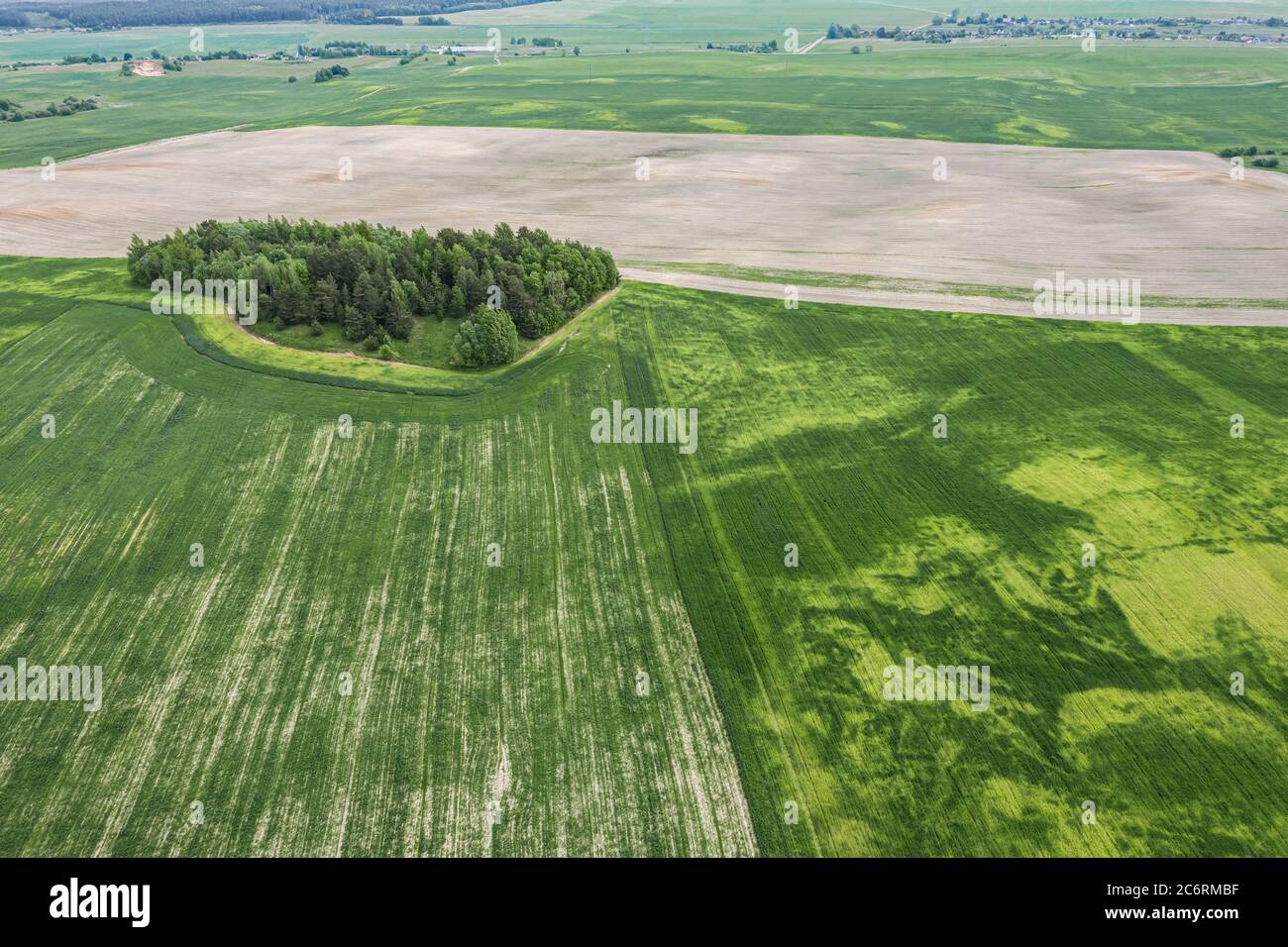 aerial view of rural area with green field and forest in sunny summer
