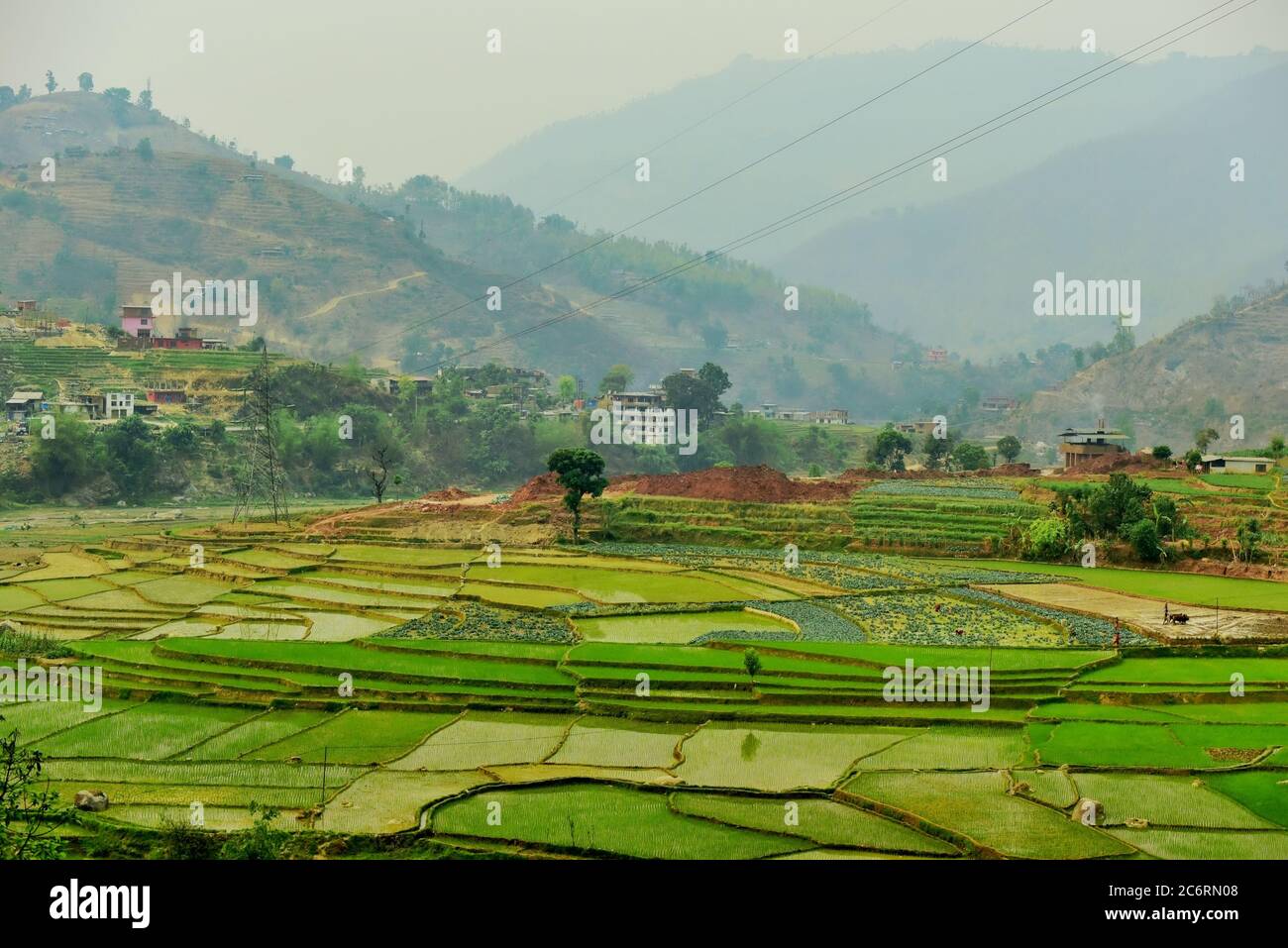 Agricultural farming fields in Nepal, seen from a road connecting