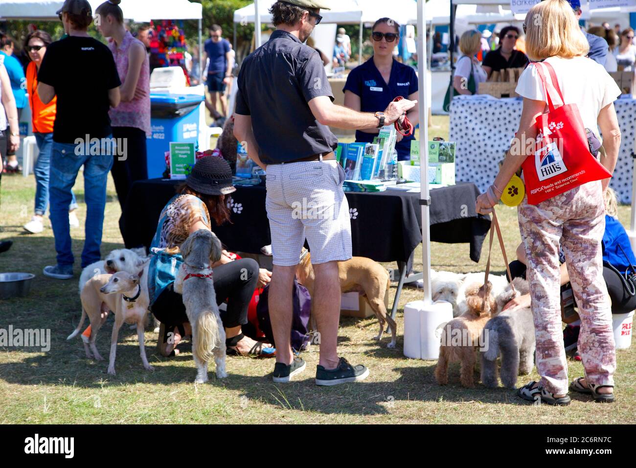 The RSPCA NSW stall at the ‘Rescue Me’ Rescue Dog Adoption Day at