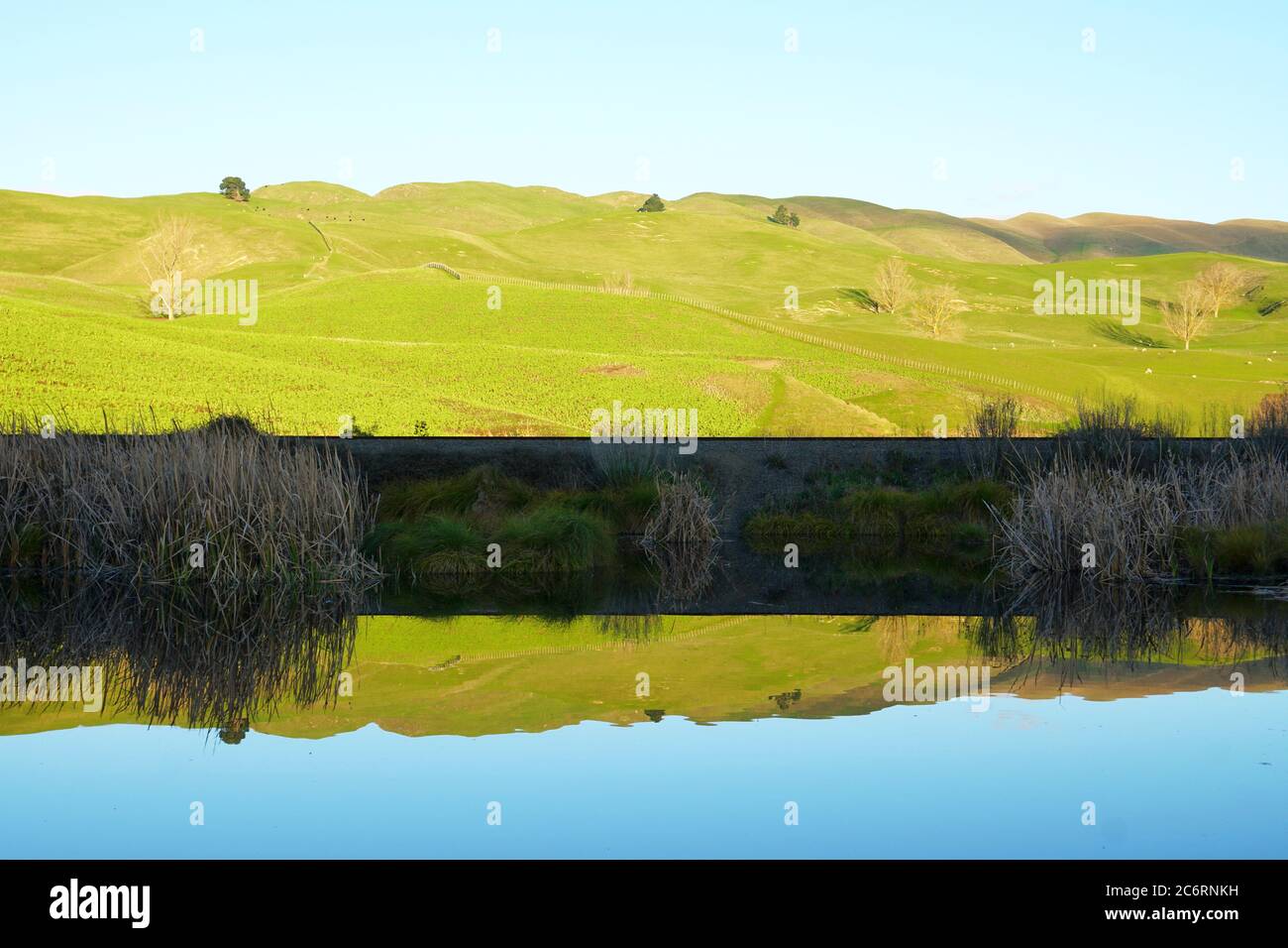 Pekapeka Wetlands, Hawke's Bay, NZ Stock Photo Alamy