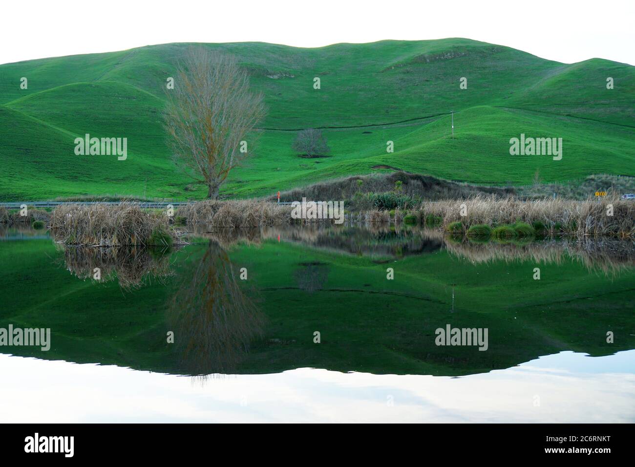 Pekapeka Wetlands, Hawke's Bay, NZ Stock Photo Alamy
