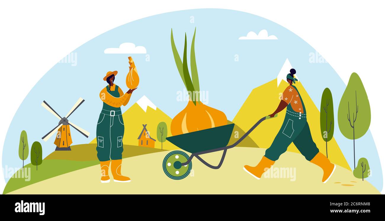 Organic farming. Agricultural workers planting and gathering crops, working on tractor, farmer, farmhouse. Flat cartoon vector illustration. Local gro Stock Vector
