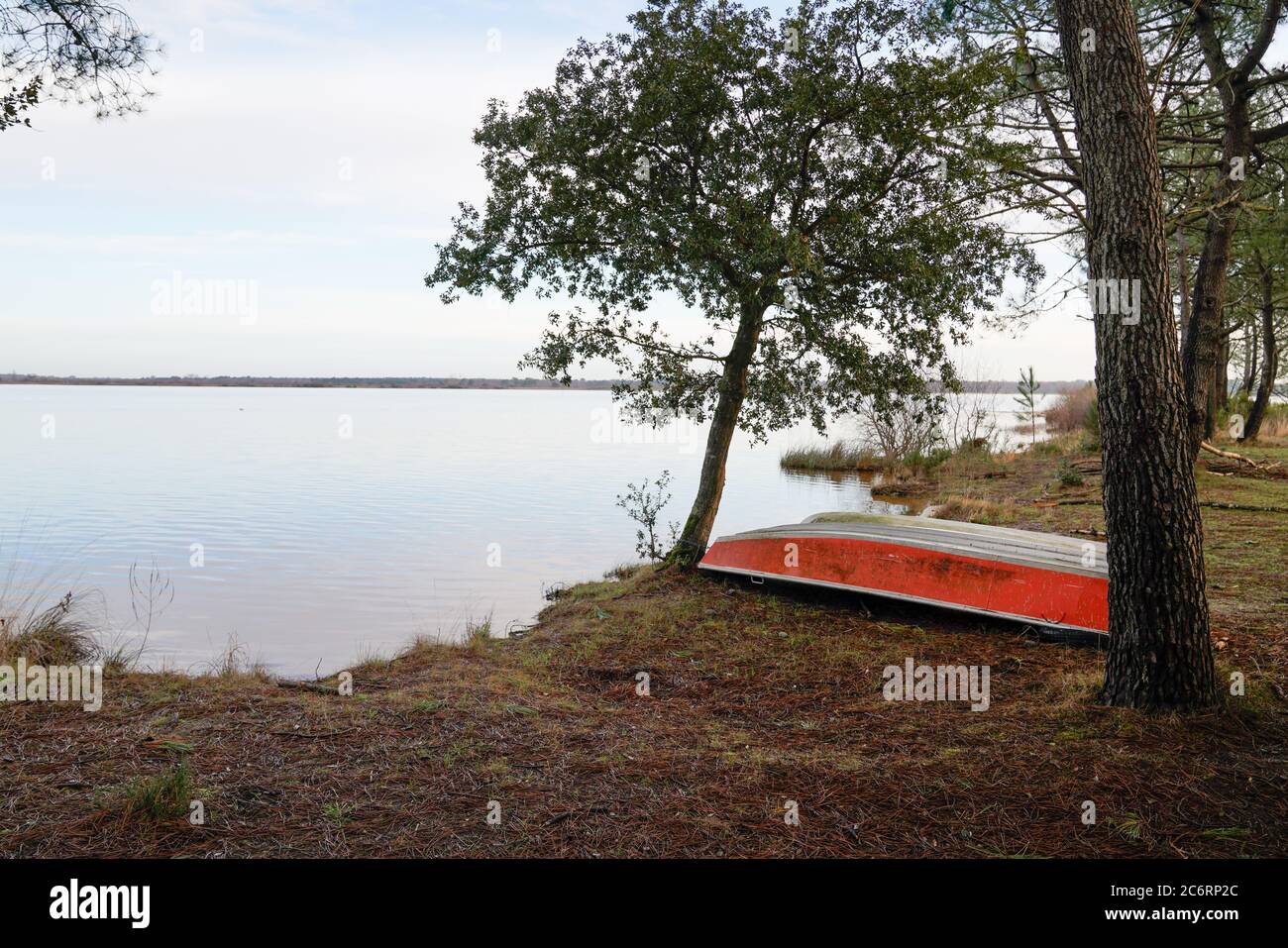 winter Lake small boat in sand beach in Biscarrosse Landes 40 France Stock Photo