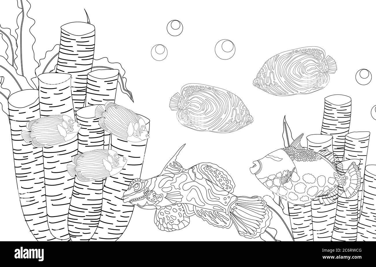 coloring-page-fish-sea-life-undersea-world-vector-illustration-stock